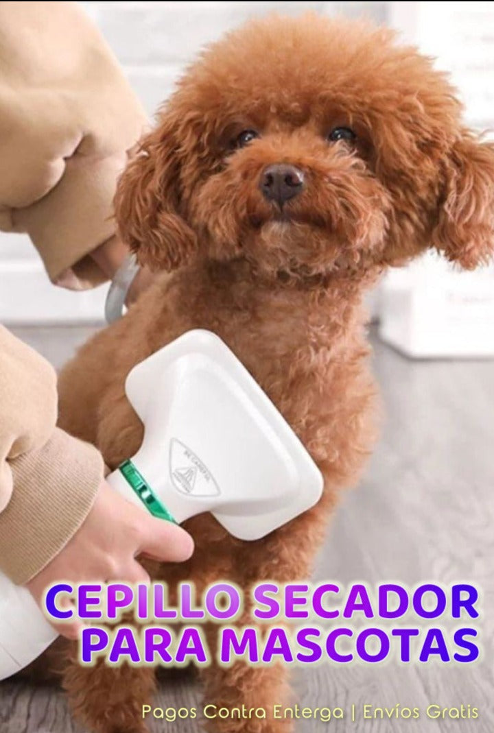 Cepillo Secador Para Mascotas 🐶2 En 1🐱